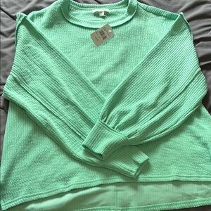 BRAND NEW blu pepper mint green sweater